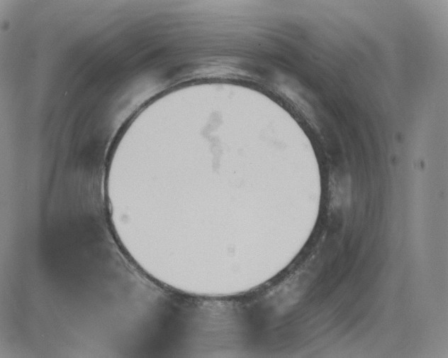 X0000084521322200702231124