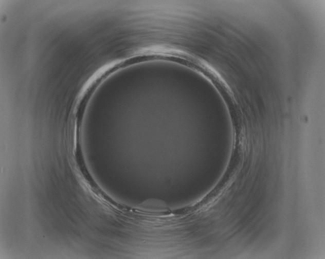 X0000084521323200702231124