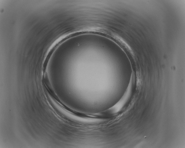 X0000084521324200702231124