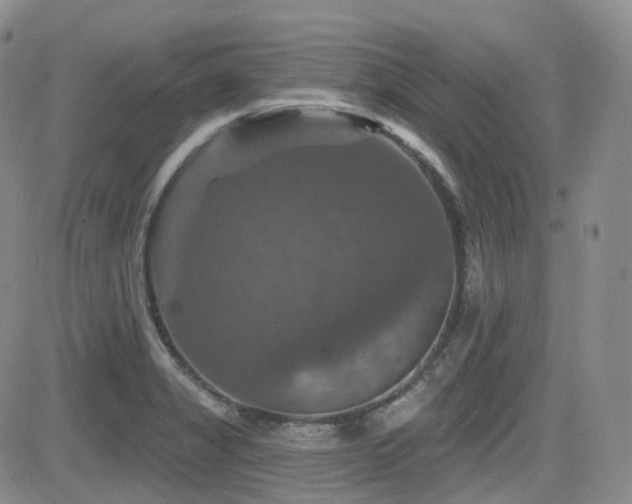 X0000084521325200702231124