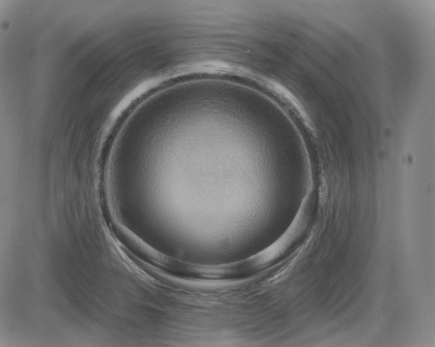 X0000084521326200702231124