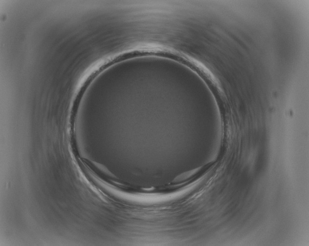 X0000084521327200702231124