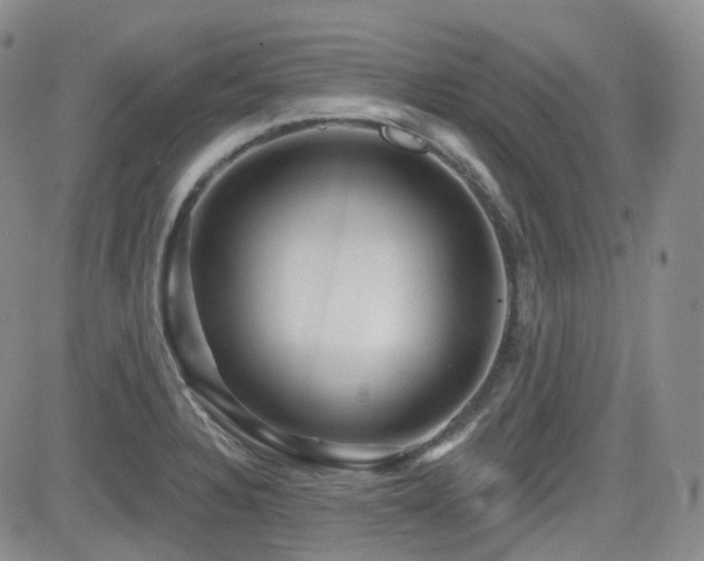 X0000084521328200702231124