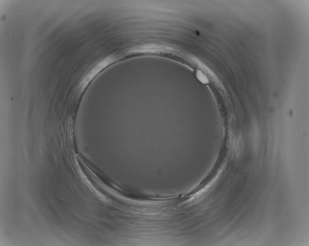 X0000084521329200702231124