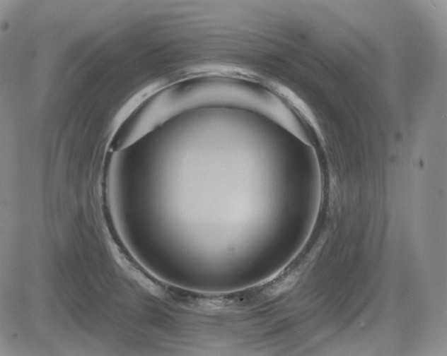 X0000084521330200702231125