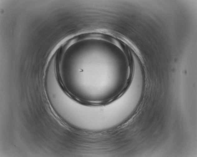 X0000084521332200702231125