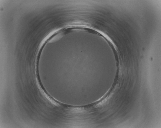 X0000084521333200702231125