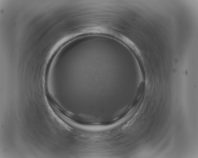 X0000084521334200702231125