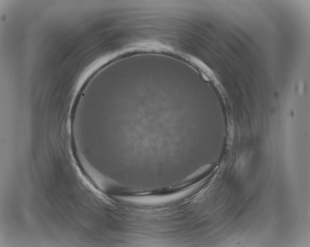 X0000084521335200702231125