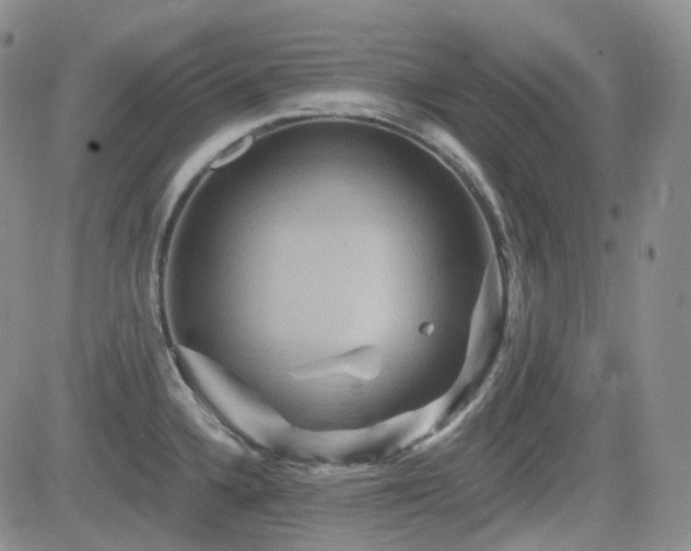 X0000084521336200702231125