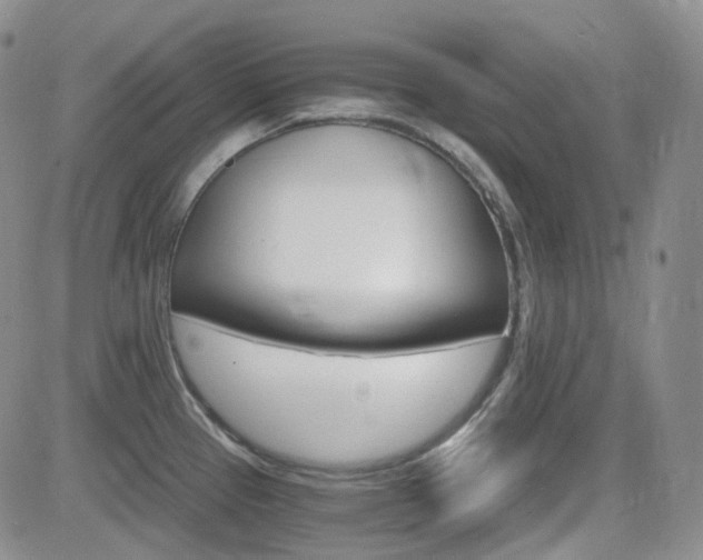 X0000084521337200702231125