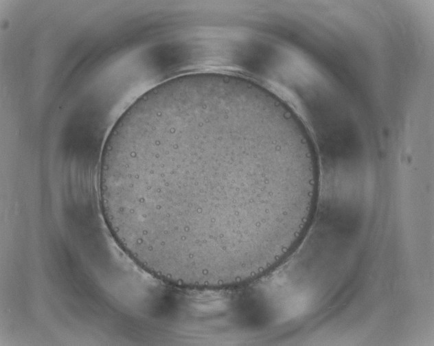 X0000084521338200702231125