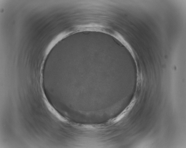 X0000084521341200702231125