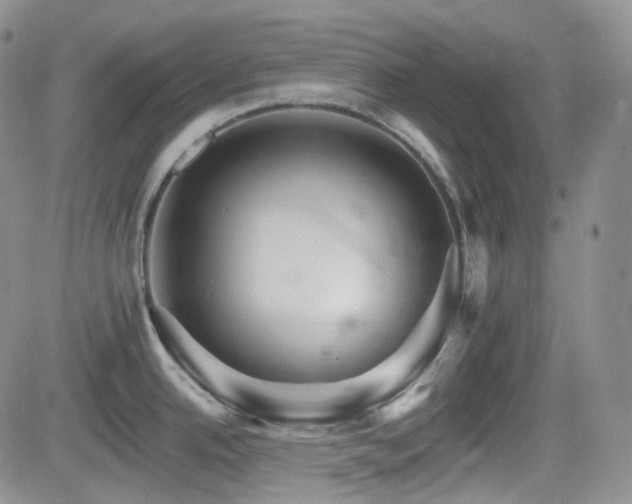 X0000084521342200702231125