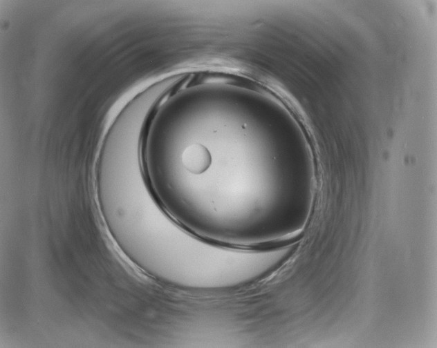 X0000084521344200702231125