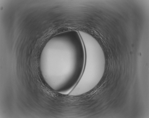 X0000084521345200702231124