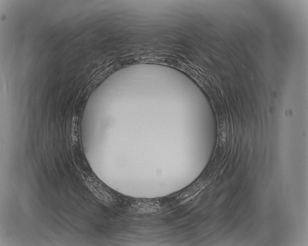 X0000084521346200702231124