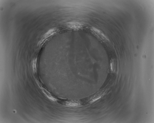 X0000084521347200702231124