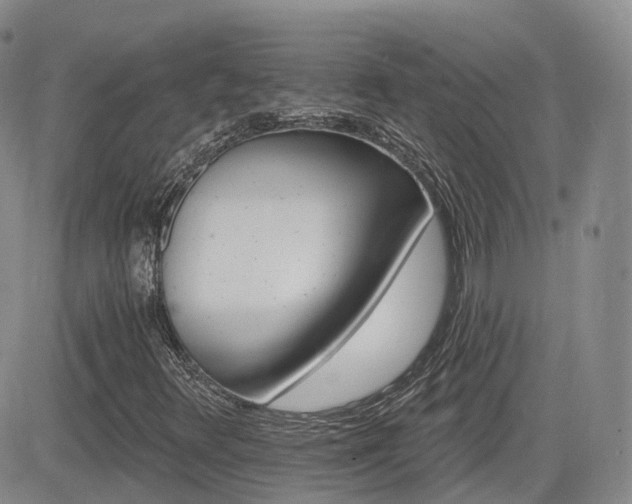 X0000084521348200702231124