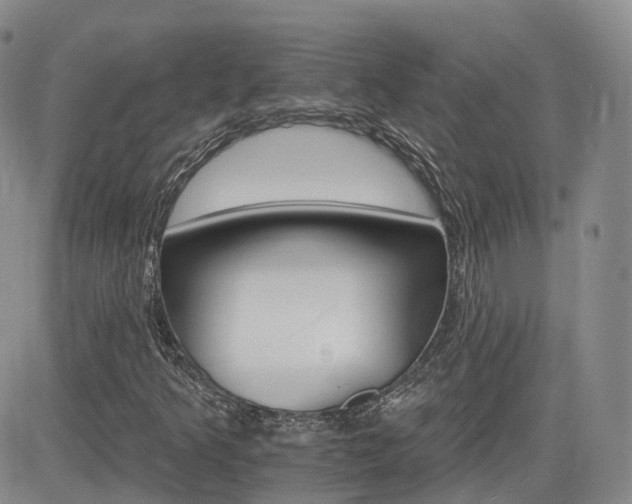 X0000084521349200702231124