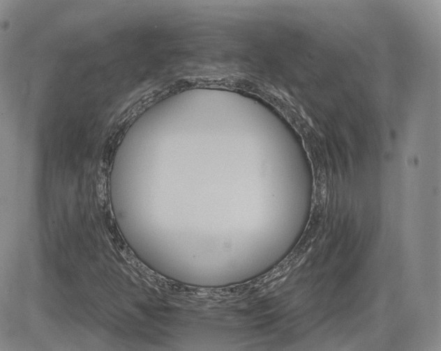 X0000084521350200702231124