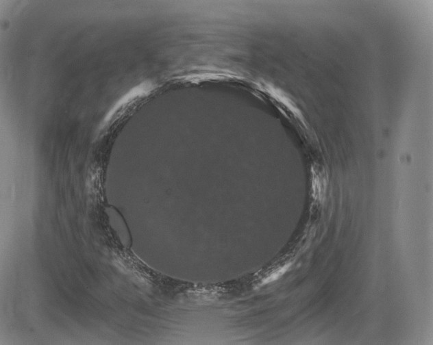 X0000084521351200702231124