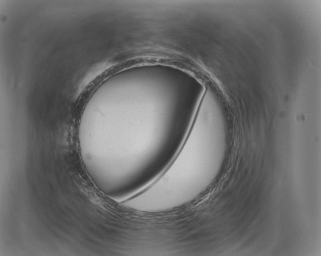 X0000084521352200702231124