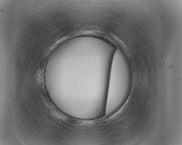 X0000084521353200702231124