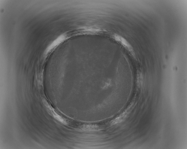 X0000084521354200702231124