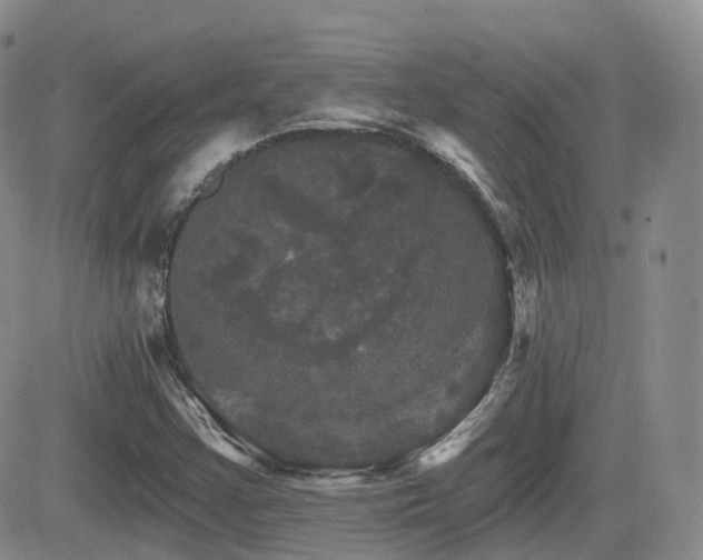 X0000084521355200702231124