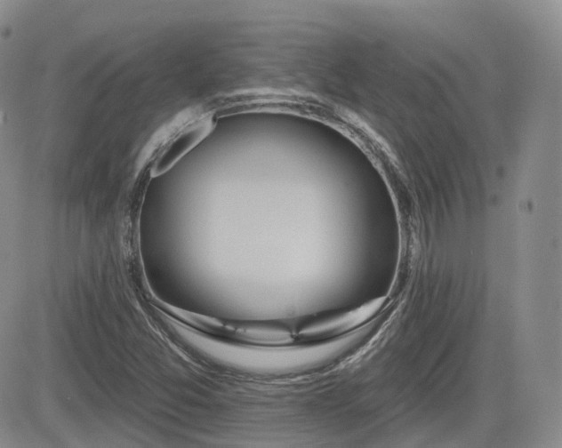 X0000084521357200702231124