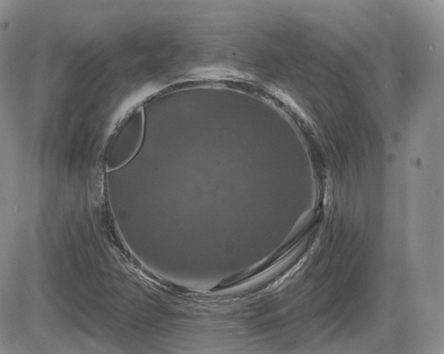 X0000084521358200702231124