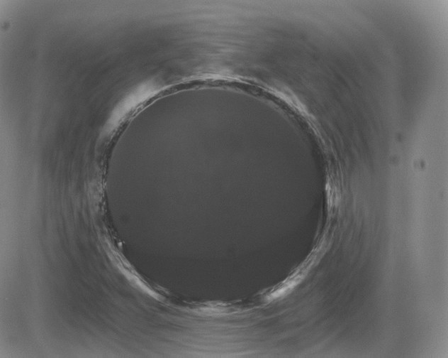 X0000084521359200702231124