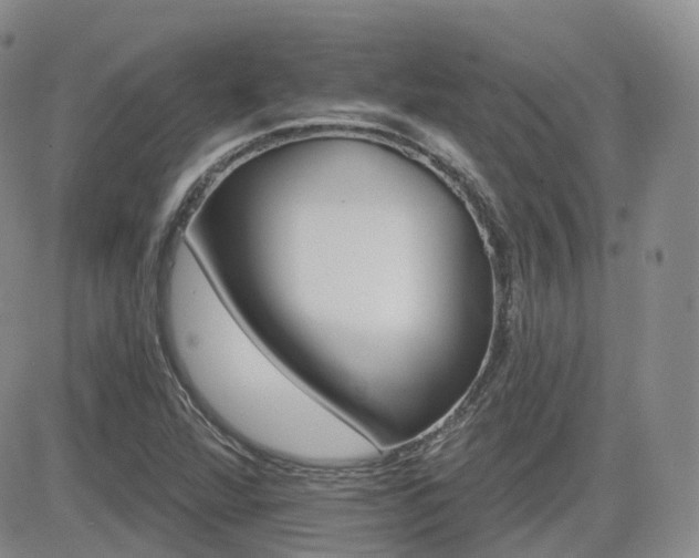 X0000084521360200702231124