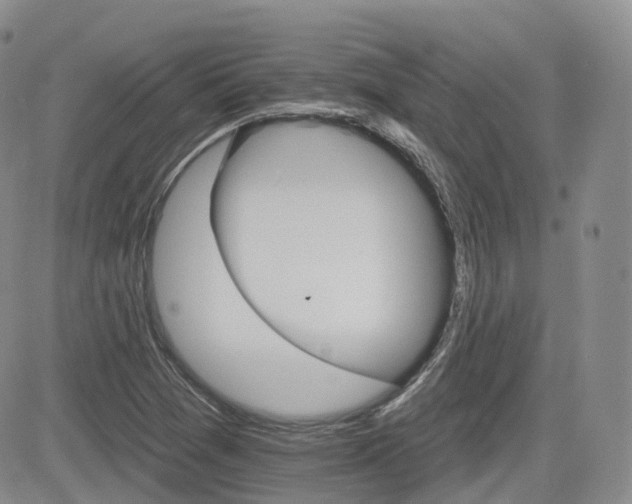 X0000084521361200702231124