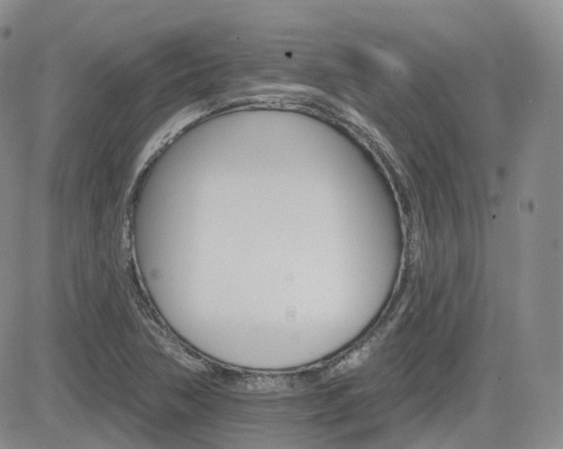 X0000084521362200702231124