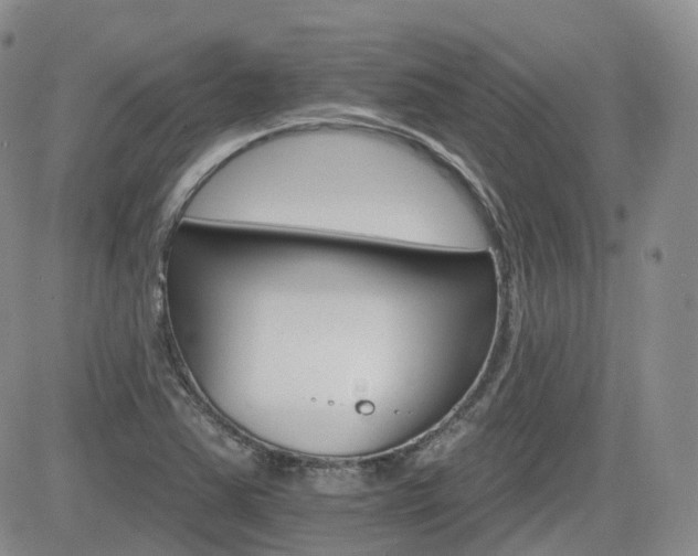 X0000084521363200702231124