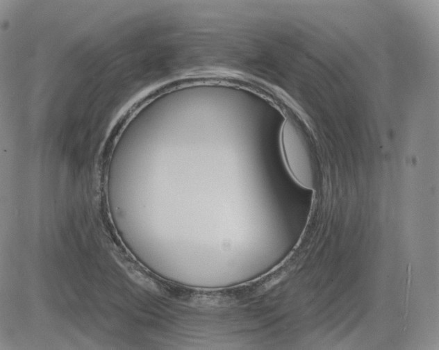 X0000084521364200702231124