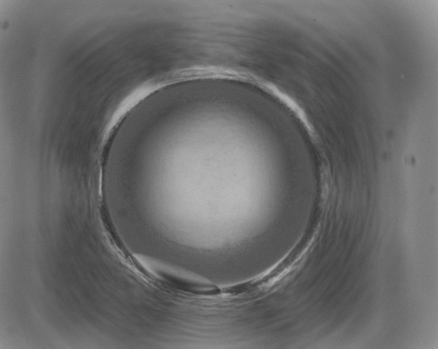 X0000084521365200702231124