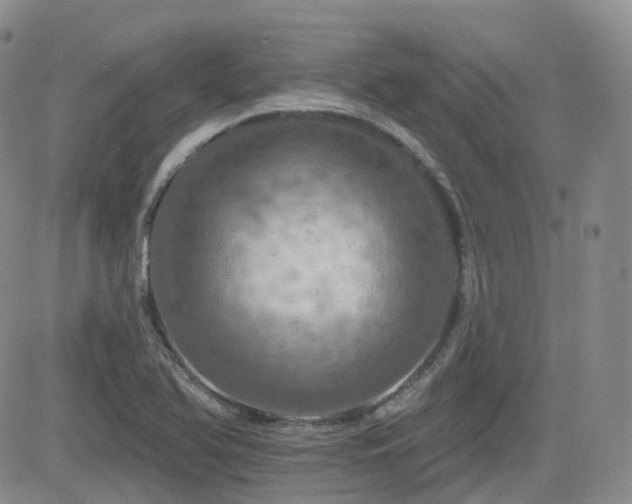 X0000084521366200702231124