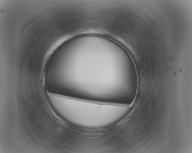 X0000084521367200702231124