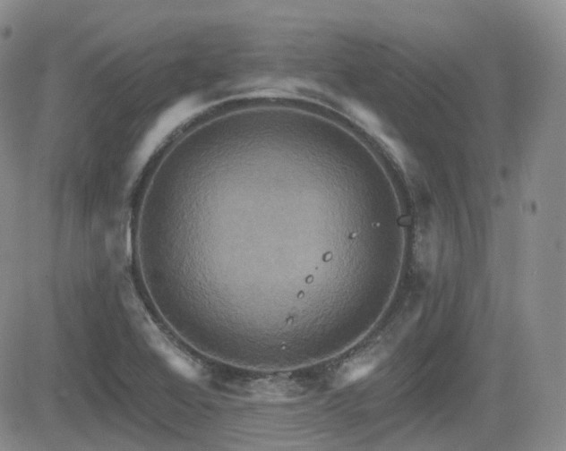 X0000084521368200702231124