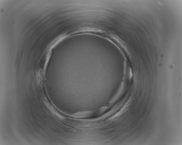 X0000084521369200702231124