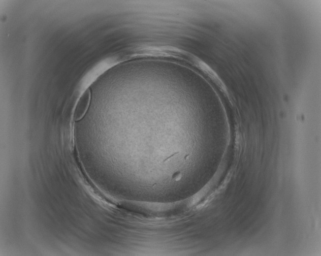 X0000084521370200702231124