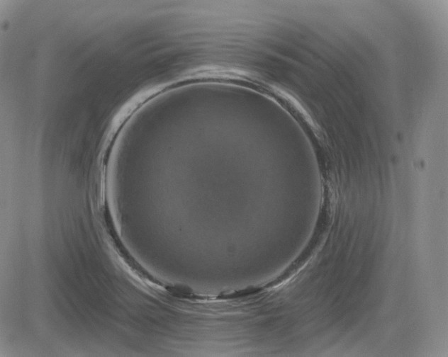 X0000084521371200702231124