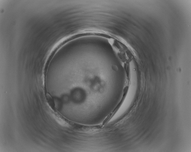 X0000084521372200702231123