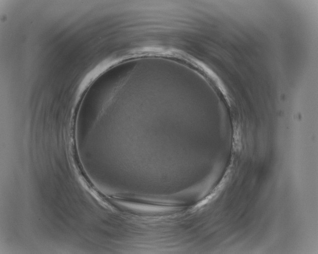 X0000084521373200702231123