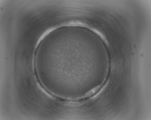 X0000084521374200702231123