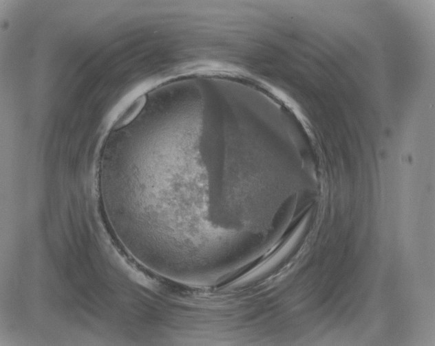 X0000084521375200702231123