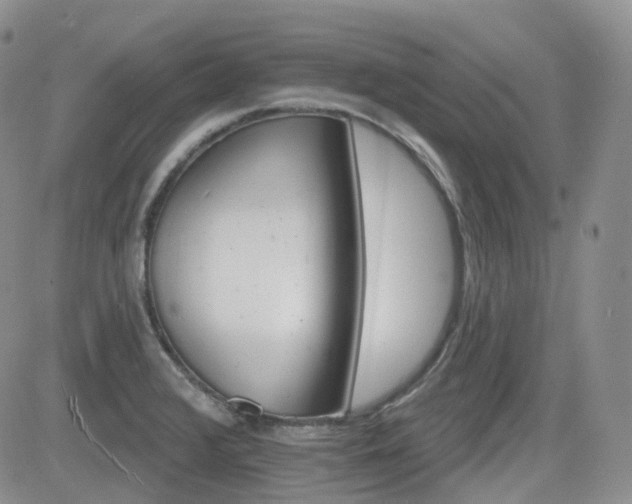 X0000084521376200702231123